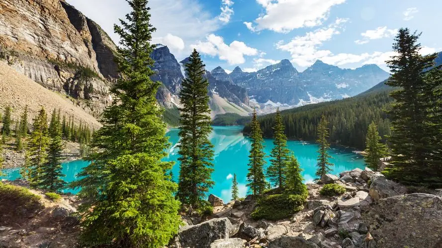 智能系统高标准先进